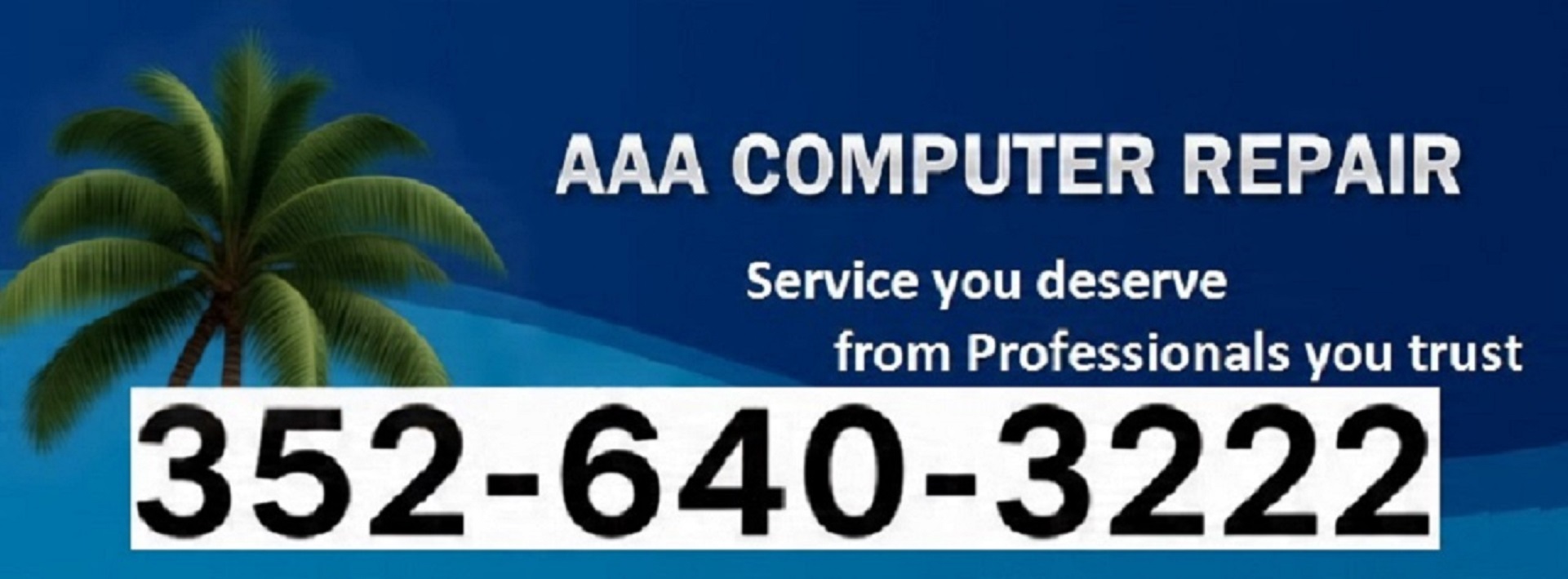 Computer Repair in Dunnelon Florida - 352-640-3222